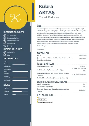 Çocuk Bakıcısı CV Örnekleri cv indir